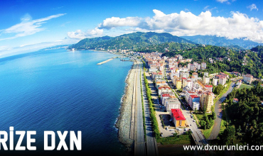 Rize DXN